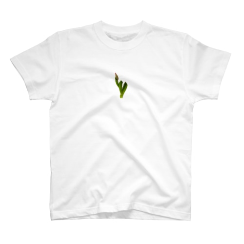 チューリップ Regular Fit T-Shirt