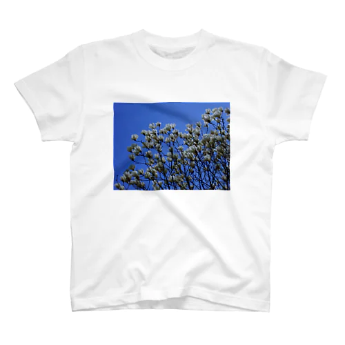 白木蓮 はくもくれん　春　spring　DATA_P_103 スタンダードTシャツ