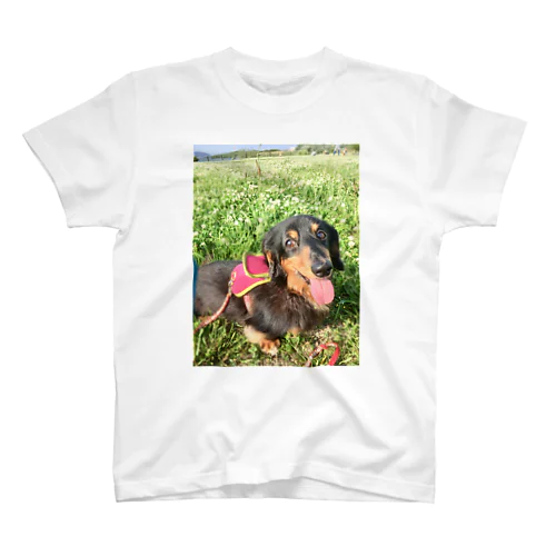 満足犬 Regular Fit T-Shirt