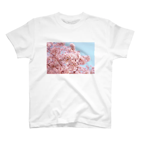 【対コロナ】桜Tシャツ / スタンダードTシャツ