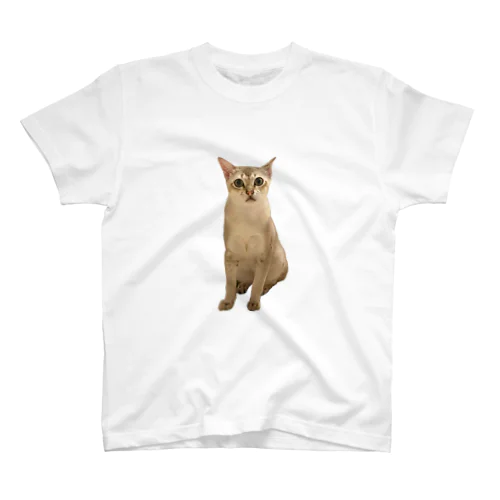 ティモ Regular Fit T-Shirt
