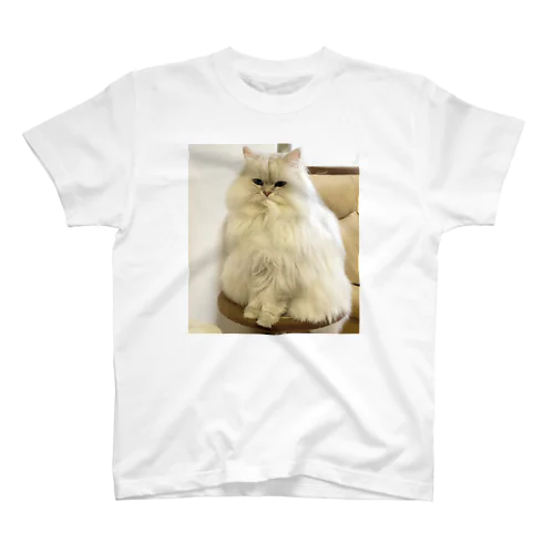 自分召し上がり猫 スタンダードTシャツ
