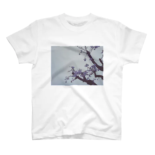 春　桜Tシャツ スタンダードTシャツ