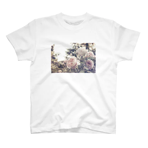 淡い薔薇 Regular Fit T-Shirt