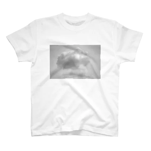 kumo Regular Fit T-Shirt