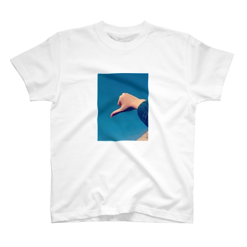 DES Regular Fit T-Shirt