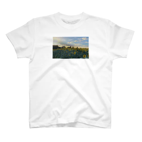 夏のひまわり畑 スタンダードTシャツ