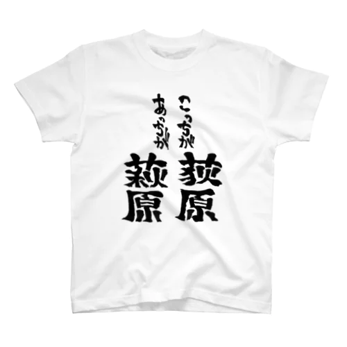 こっちが荻原あっちが萩原 スタンダードTシャツ