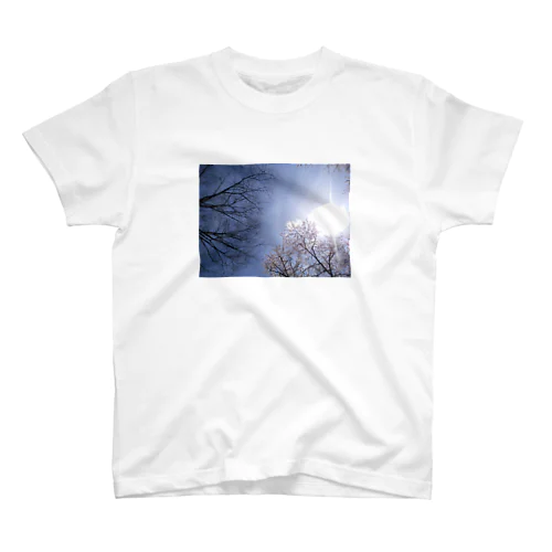 太陽の下桜咲く スタンダードTシャツ