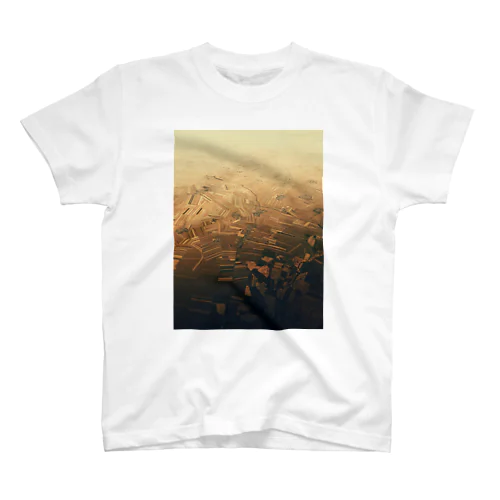 from the window 29 スタンダードTシャツ