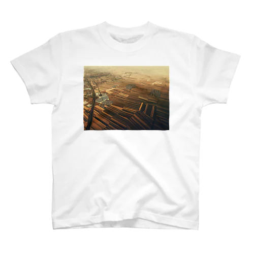 from the window 34 スタンダードTシャツ