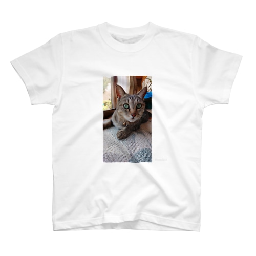 キジトラ猫ミミさん Regular Fit T-Shirt