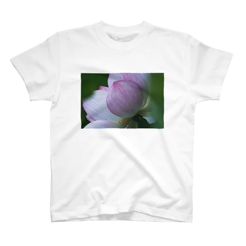 Photo : 蓮の花 Regular Fit T-Shirt