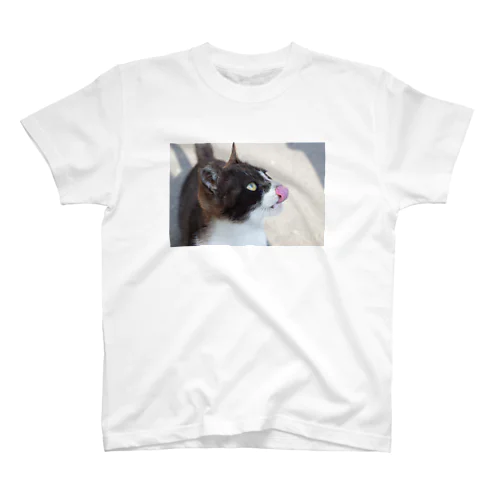 女木島の猫 Regular Fit T-Shirt