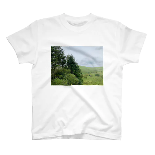 in the forest スタンダードTシャツ