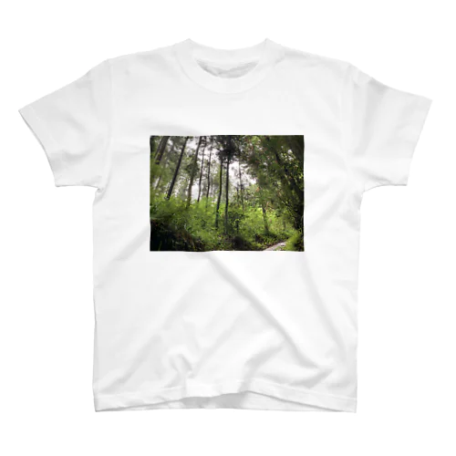 in the forest スタンダードTシャツ