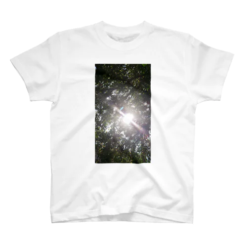太陽の光が当たる木 Regular Fit T-Shirt