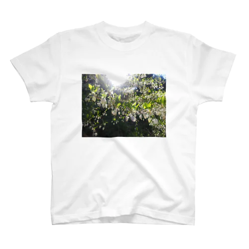 HANA Regular Fit T-Shirt