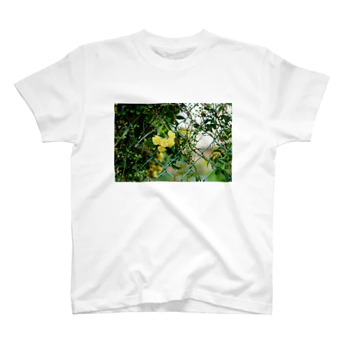 FLOWER-きいろ- スタンダードTシャツ