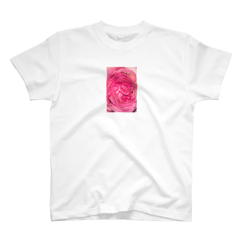 薔薇の花_001 スタンダードTシャツ