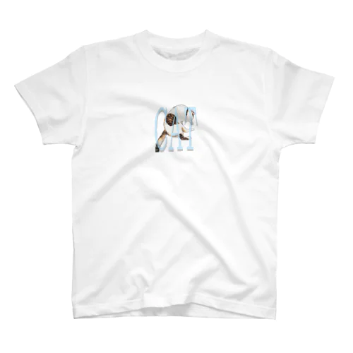 neko Regular Fit T-Shirt