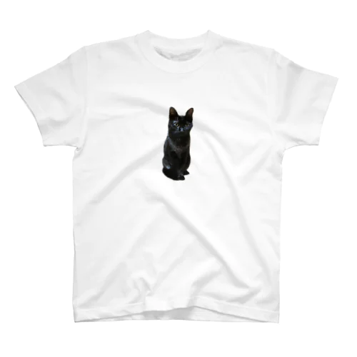 Miao Regular Fit T-Shirt