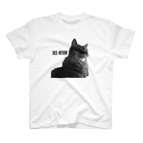 IKE-NYAN Regular Fit T-Shirt