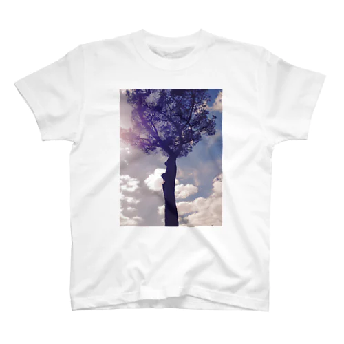 roma-pine スタンダードTシャツ