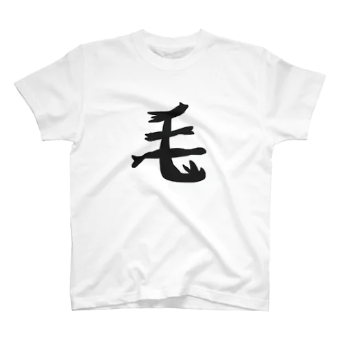 毛 Regular Fit T-Shirt