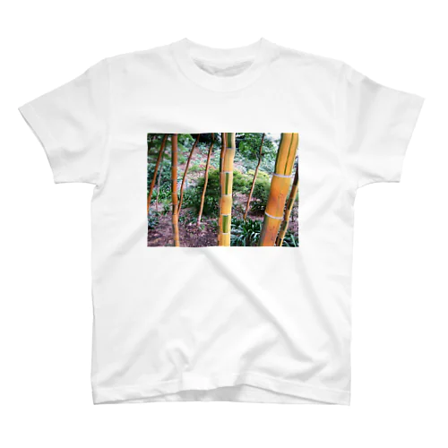 Bamboo 竹 スタンダードTシャツ