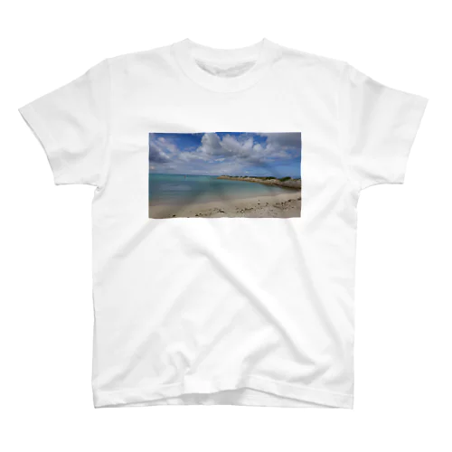 paradise Regular Fit T-Shirt