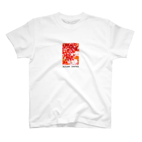 紅葉シリーズ🍁 スタンダードTシャツ