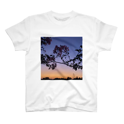 sunset Regular Fit T-Shirt