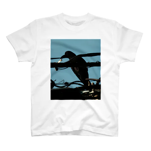 Crow Regular Fit T-Shirt