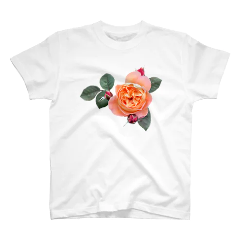 【ロマン】蕾と葉のついたオレンジピンクの薔薇 スタンダードTシャツ