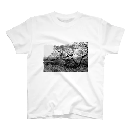 tree スタンダードTシャツ