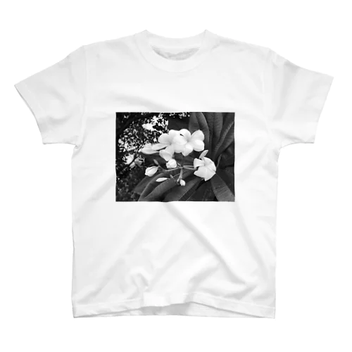 Plumeria. スタンダードTシャツ