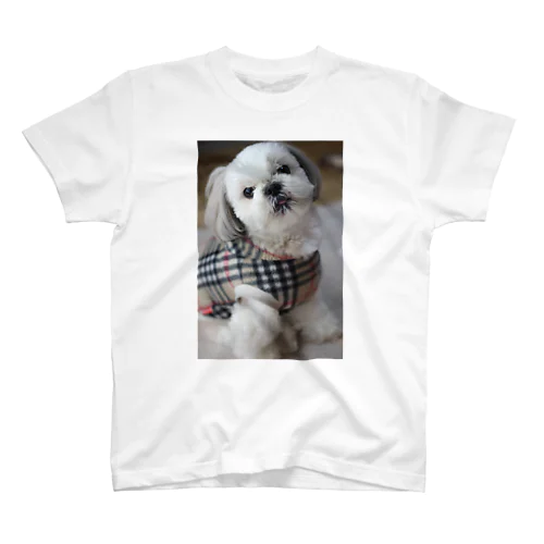 愛犬グッズ(シーズー) Regular Fit T-Shirt