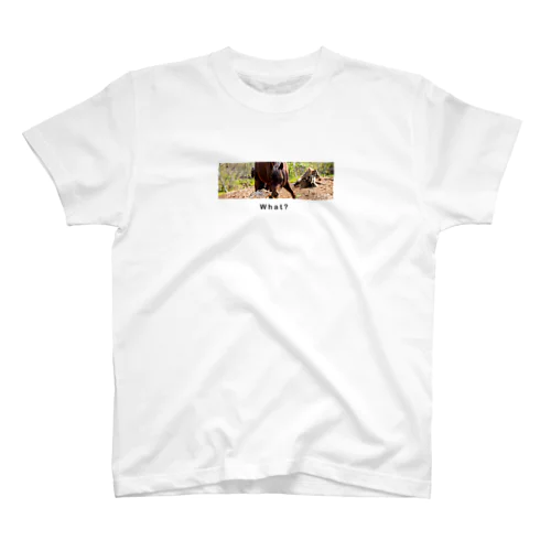 osyan-Tノエルver Regular Fit T-Shirt
