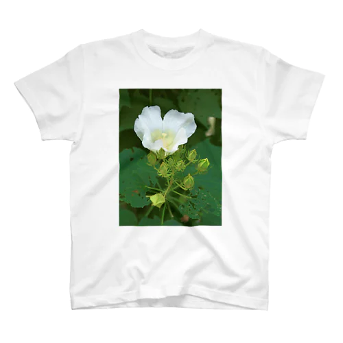 芙蓉 DATA_P_132　Confederate Rose ハスの花の古名 Regular Fit T-Shirt