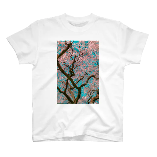 いつかの桜 Regular Fit T-Shirt