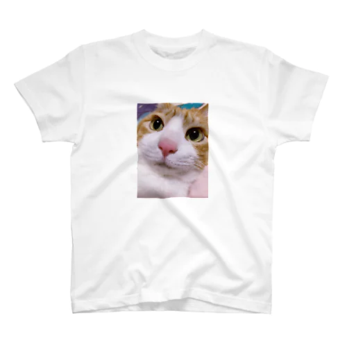 保護猫 セサミくん スタンダードTシャツ