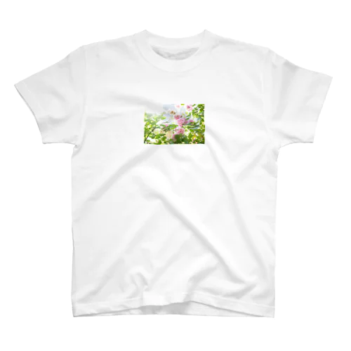 Rose Garden Regular Fit T-Shirt