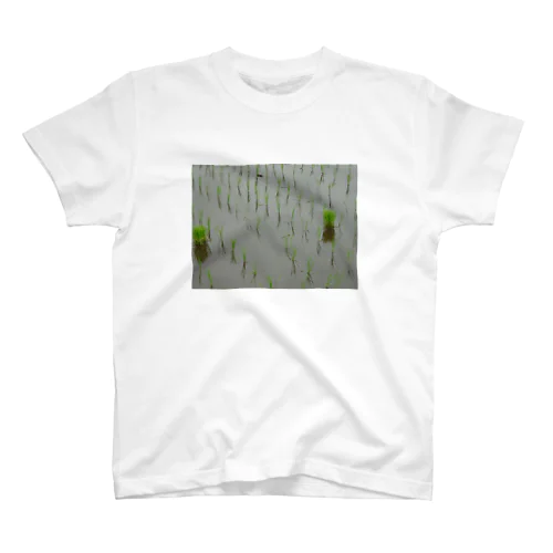 田植え スタンダードTシャツ