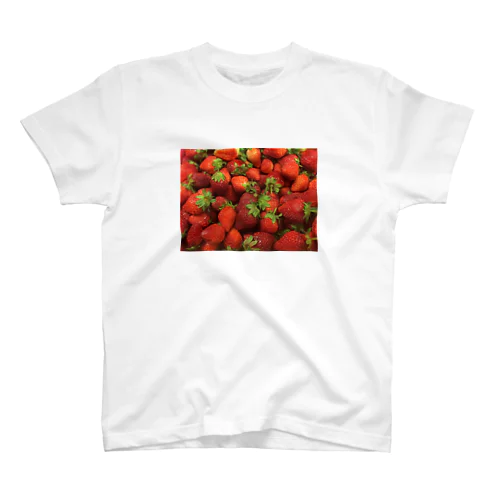 TAIWANのイチゴ スタンダードTシャツ