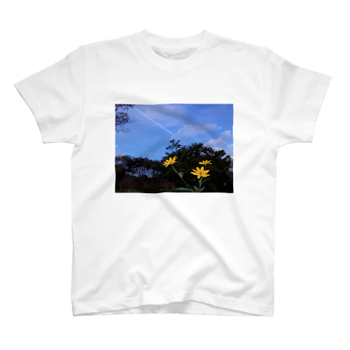 菊芋と樹木と空　DATA_P_140 tree　sky スタンダードTシャツ