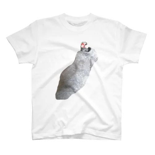 F1文鳥（背景なし） Regular Fit T-Shirt