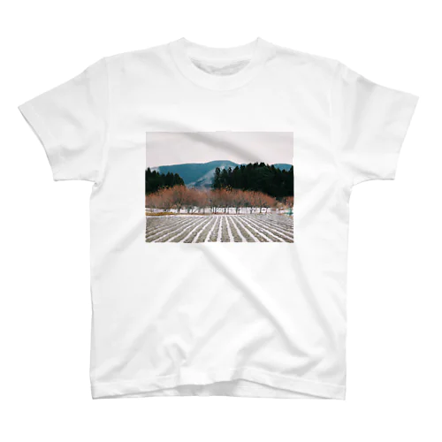 landscape No.5 Regular Fit T-Shirt