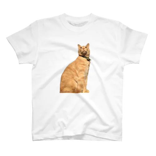 神々しいネコ 티셔츠