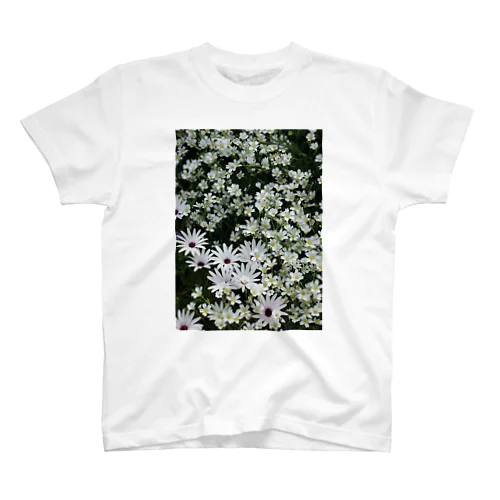 白い花畑 Regular Fit T-Shirt